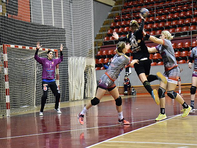 ZRK Radnicki Tigrice