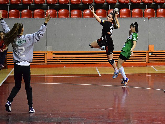 ŽRK Radnički - Tigrice